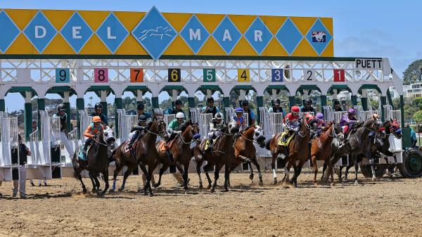2025 San Diego's handicap at a glance