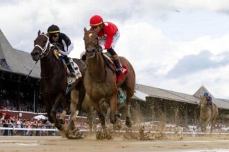 24-1 Harina's Forte disrupts honorable mistakes in Saratoga