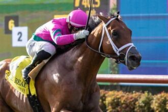 A scary guy gathers along the rails to win Eddie Reed