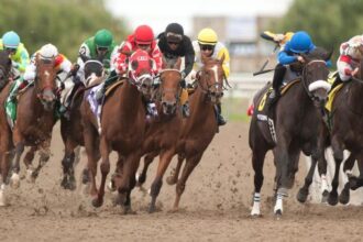 A strong finisher bet on the Speed Pack Woodbine Oaks