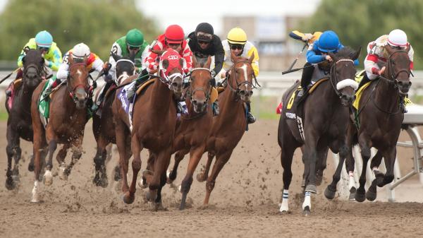 A strong finisher bet on the Speed Pack Woodbine Oaks