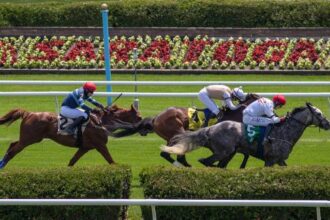 ABR Sunday Selection: Full Card Picks for July 6th at Saratoga