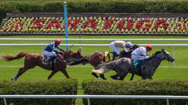 ABR Sunday Selection: Full Card Picks for July 6th at Saratoga