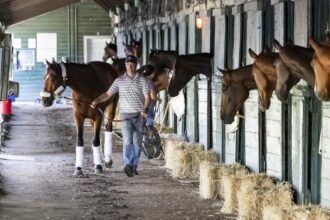 ABR's Trifecta chooses the 2025 Haskell Stakes