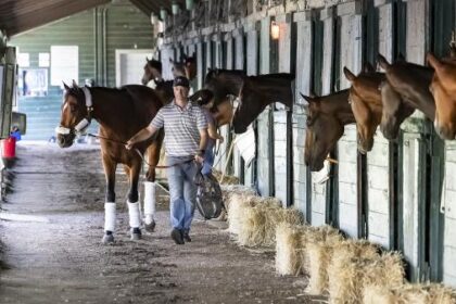 ABR's Trifecta chooses the 2025 Haskell Stakes