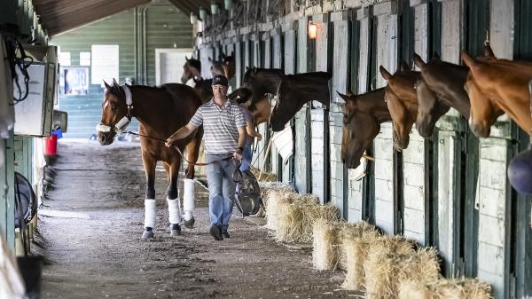 ABR's Trifecta chooses the 2025 Haskell Stakes