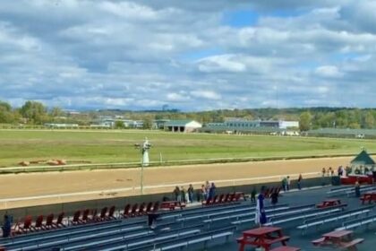 Amidst the concerns of Affeldown, this introduction cancels two cards