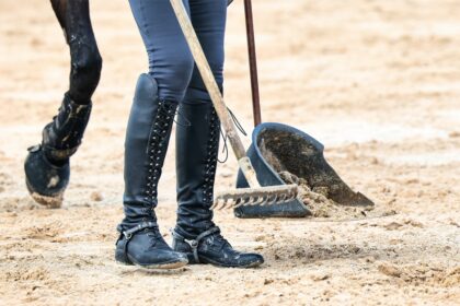 A rider picking up manure.