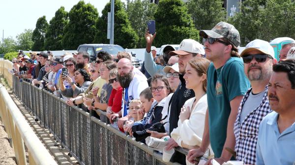 Bets "Tip Top" candidates on the Indiana Derby