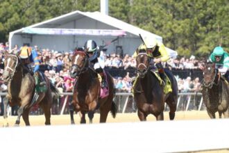 Betting New York invaders to win the Miss Disco Stakes