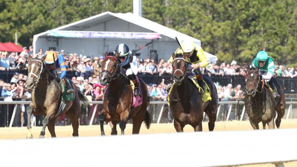 Betting New York invaders to win the Miss Disco Stakes