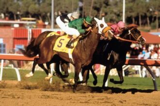 Breeders' Cup Fantastic Finish: Instant Classic from the first day