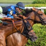 By the head, the excellent truth gives the 10th brown Diana in Saratoga