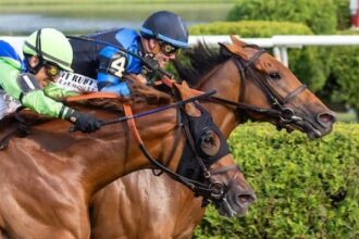 By the head, the excellent truth gives the 10th brown Diana in Saratoga