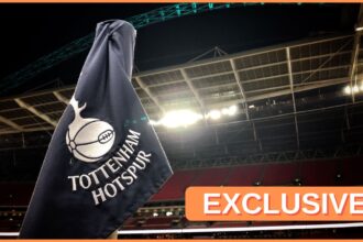 Tottenham flag
