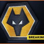 Wolves logo plus