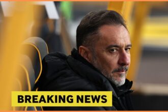 Wolves manager Vitor Pereira