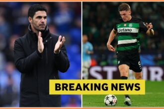 Mikel Arteta and Viktor Gyokeres