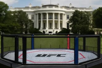 Dana White Vows to Book the 'Baddest Card of All Time' for UFC's White House Event