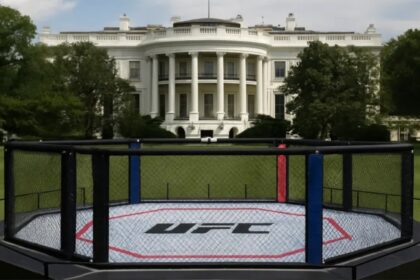 Dana White Vows to Book the 'Baddest Card of All Time' for UFC's White House Event