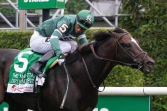 Decinistic leads the winners of eight grade stakes
