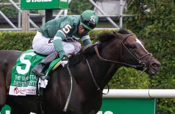 Decinistic leads the winners of eight grade stakes