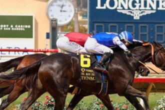 Del Mar Betting Guide: Tips and Trends to Know for Summer 2025 Tournament