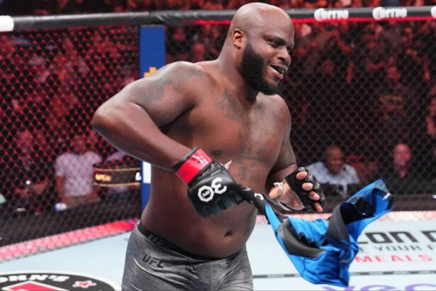 Derrick Lewis, UFC, MMA