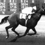 Domination at Del Mar: Billshoemaker's biggest summer