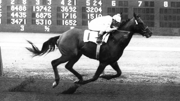 Domination at Del Mar: Billshoemaker's biggest summer