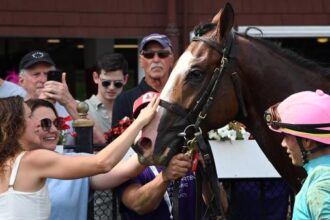 Dr. Agne, son of Champion Lady Eri, wins an emotional career debut in Saratoga
