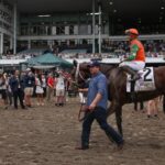 Equibase Ranking: Journalism, Chad Brown thrives on the Jersey Shore