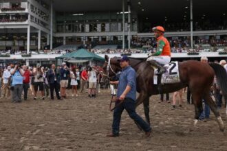 Equibase Ranking: Journalism, Chad Brown thrives on the Jersey Shore