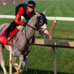 Fan favorite Sandman rested and was ready to test at Jim Dande Stakes