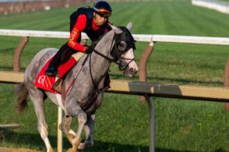Fan favorite Sandman rested and was ready to test at Jim Dande Stakes