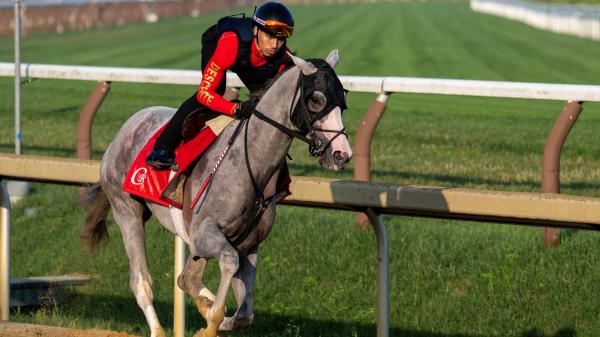 Fan favorite Sandman rested and was ready to test at Jim Dande Stakes