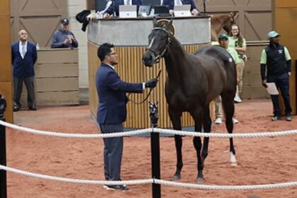 Fasig-Tipton drops timed work and limits crop use for 2 year olds