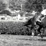 Fourstardave's memories live in Saratoga