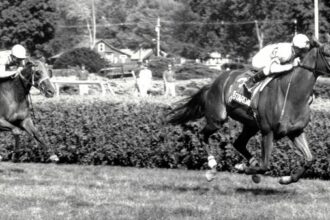 Fourstardave's memories live in Saratoga