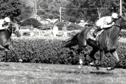 Fourstardave's memories live in Saratoga