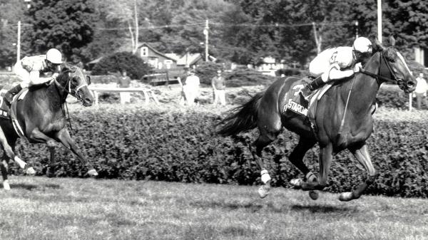 Fourstardave's memories live in Saratoga