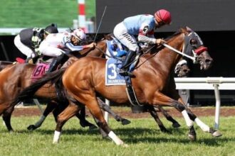 He wins the same bet at Monmouth for the fifth consecutive year