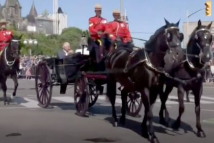 A carriage being pulled by black horses.