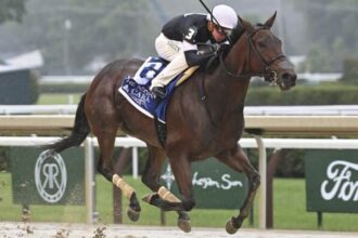 La Ways, Mystik, Lead 23 Graded Winners