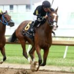 Michelle Elliott tries to keep the Indiana Oaks Trophy home at the top
