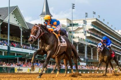 Mid-season report card: 2025 horse candidates for the year