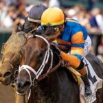 Mindframe, ferocious work for Plitcher on Friday morning