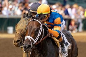 Mindframe, ferocious work for Plitcher on Friday morning