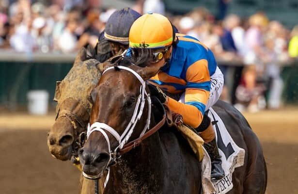 Mindframe, ferocious work for Plitcher on Friday morning