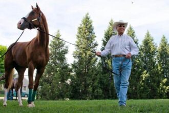 NY Horsemen's Group creates a Lukas Award for Assistant Trainers